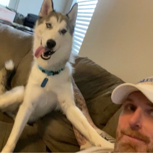 Meet your Posher, Daniel - Picture 5 of 15